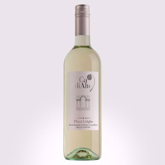 Billede af Pinot Grigio Ca' di Alte