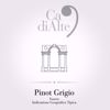 Billede af Pinot Grigio Ca' di Alte